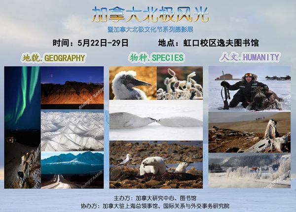 365英国上市集团
